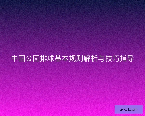 中国公园排球基本规则解析与技巧指导